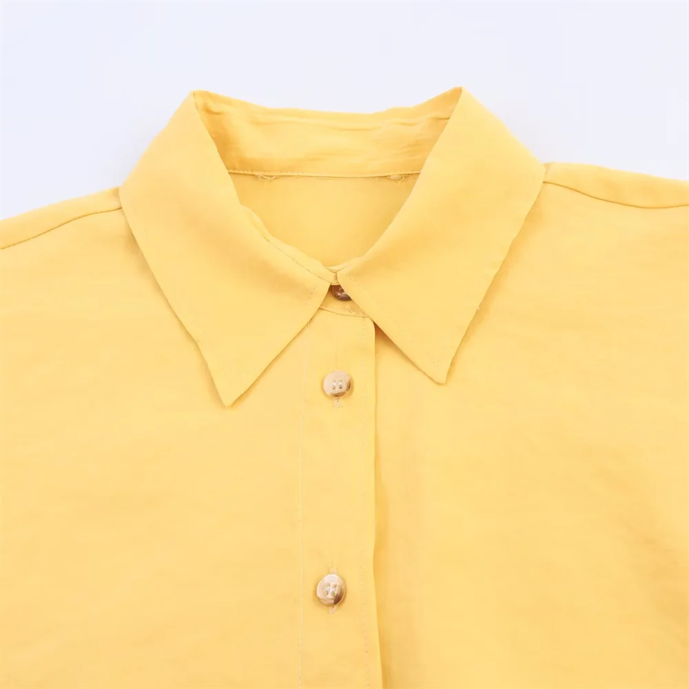 Women's Button-Up Shirt with Collar Long Sleeve | Plus Size