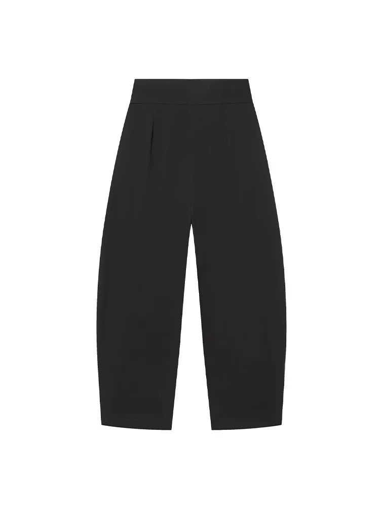Women's High Waist Front Pleats Wide Leg Pants | Slim Fit