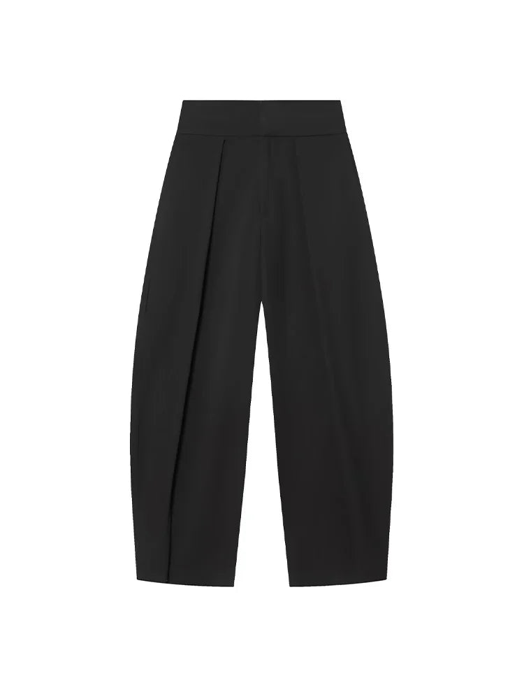 Women's High Waist Front Pleats Wide Leg Pants | Slim Fit